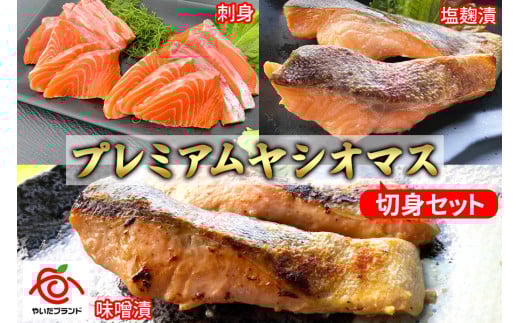 【定期便6回】産地直送栃木県のブランド魚「プレミアムヤシオマス」の切身セット 味噌漬、塩麹漬、刺身(生食用) | 国産 産地直送  [ 冷凍便 ] | 魚 ます 養殖 産地直送 栃木県 (毎月お届け）
