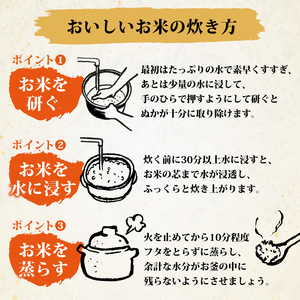 【6回定期便】 精米 5kg ×6回 彩のかがやき 米 定期便 白米