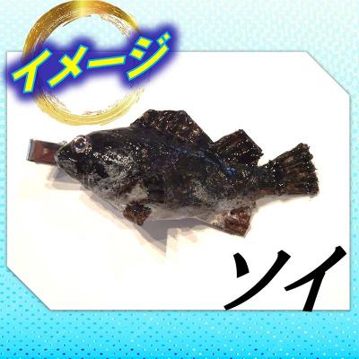 ふるさと納税 山田町 手作り 本物そっくり魚の模型ネクタイピン×6個 |  | 01