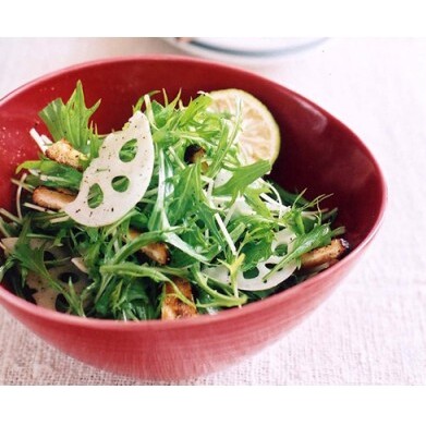 ARITA PORCELAIN LAB(アリタポーセリンラボ) 赤釉・なぶり鉢セット 有田焼 モダン 小鉢 麺鉢 サラダボウル A40-223_イメージ3