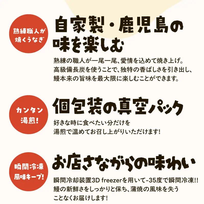 鹿児島 うなぎ の おむすび セット KN084-005 米 鰻 おにぎり