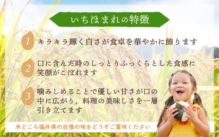 定期便≪3ヶ月連続お届け≫いちほまれ 5kg × 3回 令和5年 福井県産【白米】【お米 計15キロ】 [e30-b007]