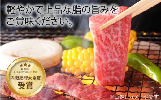 【6回定期便】長崎和牛 赤身 焼肉（モモ・ウデ）食べ比べ ＜ミート販売黒牛＞ [CBA116]