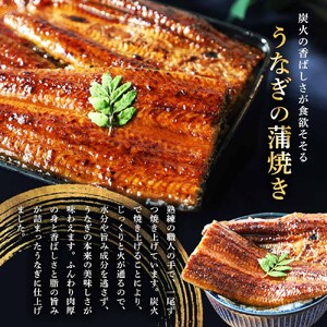 特選うなぎの蒲焼き2尾＋白焼き1尾入り 特製タレ付き ヤマシン【特選うなぎ】