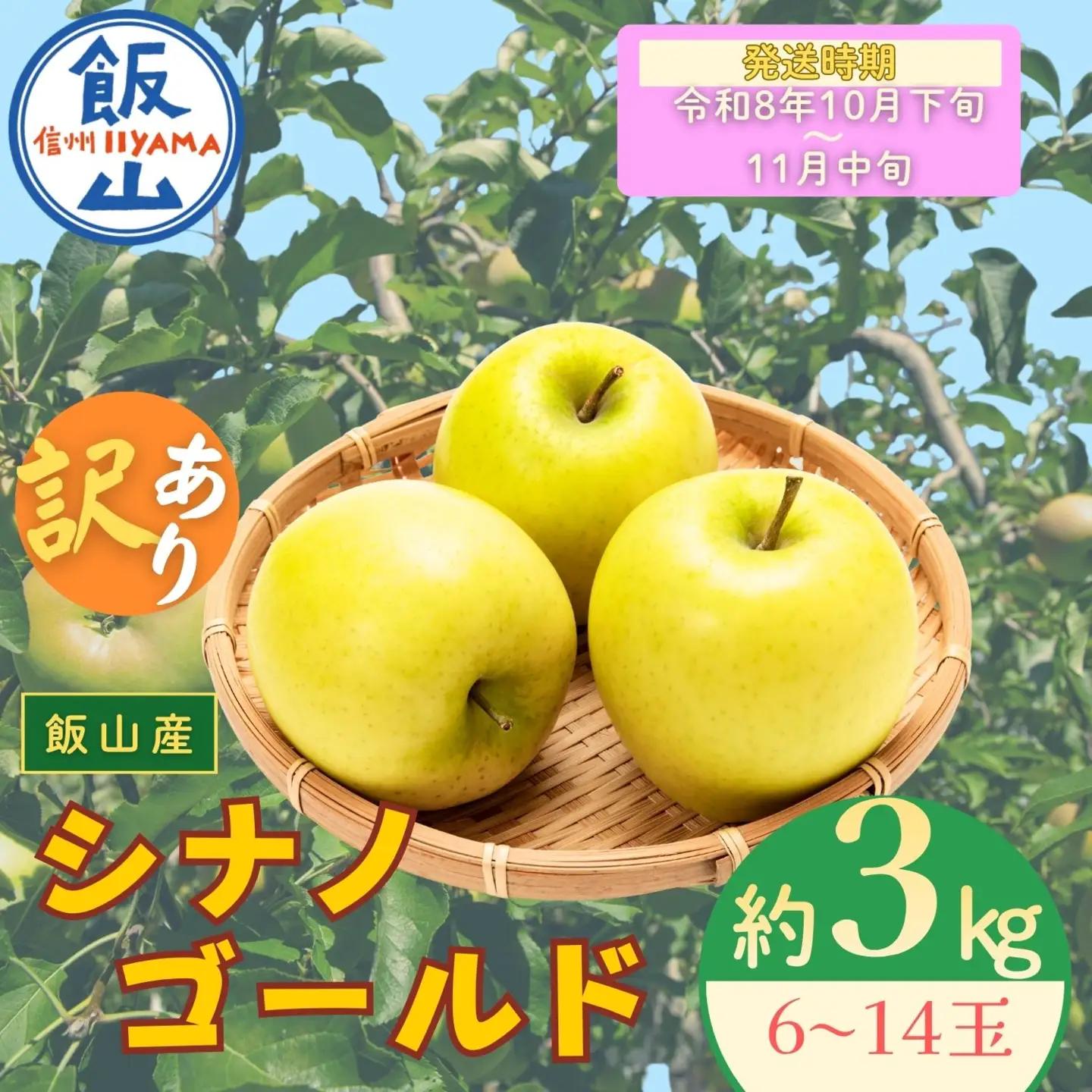 【訳あり】りんご シナノゴールド 約3kg（6～14玉）【2026年10月下旬より発送 先行予約】At-023