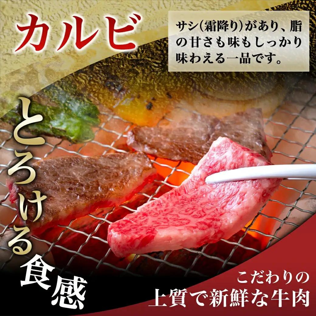【黒毛和牛】霜降りカルビ&赤身カルビ1kg焼肉セット〔AD-4202〕_(都城市) 国産 黒毛和牛 和牛 霜降り 赤身 カルビ 1kg 