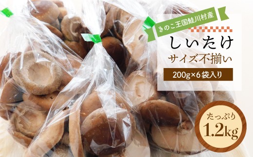 
                  きのこ王国鮭川村産 ［しいたけ］ サイズ不揃い たっぷり1.2kg（200g×6袋入り）
                