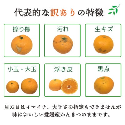【2025年発送】何個でも食べられる!八幡浜産 愛媛みかん5kg【訳あり】【C25−176】【1606088】