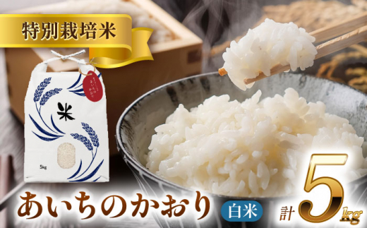 【11月発送】愛知県産あいちのかおり 白米5kg 特別栽培米 ご飯 精米／戸典オペレーター [AECT024-11]