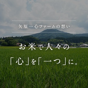 令和5年産 矢原一心ファーム 「特別栽培コシヒカリ」 5kg