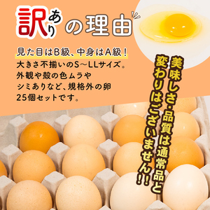 訳あり B級卵 たまご 25個 有精卵 ご飯 【卵】
