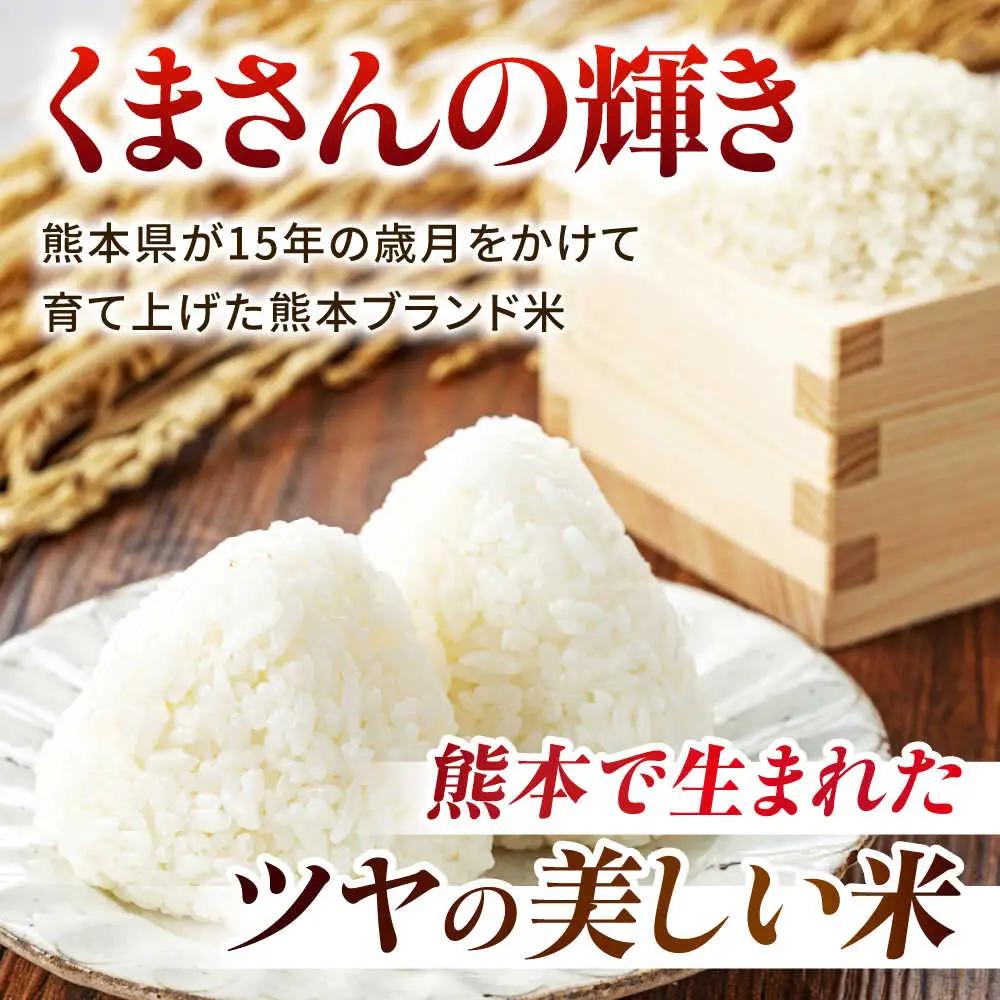 令和8年度産米3回定期便くまさんの輝き白米5kg 白米定期便ZBI037