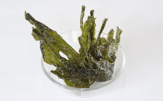 駄菓子 西八製菓 わかめ菓子 65ｇ×16袋 だがし おやつ 和菓子 菓子 わかめ ワカメ 海藻 ヘルシー お菓子 伝統菓子 懐かしい スイーツ  お取り寄せ ご当地 人気 おすすめ 65g 16袋 