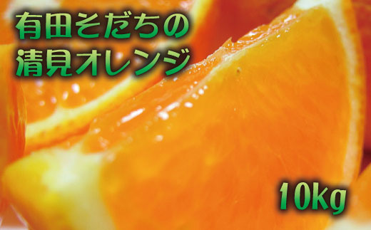 【2027年2月下旬～5月上旬頃に順次発送予定】有田育ちの清見オレンジ(ご家庭用)　約10kg+200g(補償分)【ard019C】