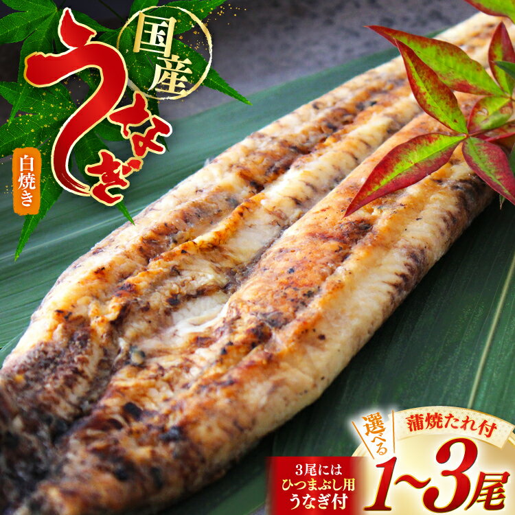 【ふるさと納税】うなぎ 選べる 内容量 鰻 白焼き 1尾 から 3尾 たれ付き [オーチャンズ 宮崎県 美郷町 31bn0005] ウナギ 国産 蒲焼のたれ 付き タレ たれ 蒲焼 蒲焼き