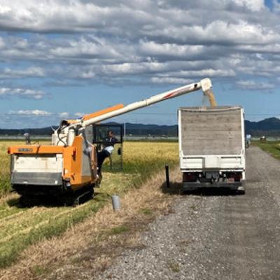 ふるさと納税 大潟村 【令和7年産】特別栽培米あきたこまち2kgと特別栽培米サキホコレ2kgの白米食べ比べセット |  | 02