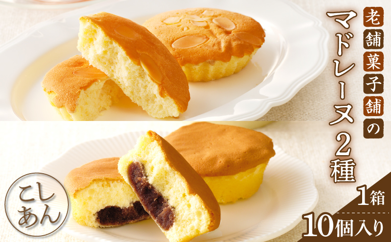 【2週間以内発送】老舗菓子舗のマドレーヌ2種セット(合計10個)_T035-0061【焼き菓子 スイーツ 詰め合わせ 洋菓子 人気 ギフト 食品 贈り物 お土産 デザート 加工品 送料無料 プレゼント