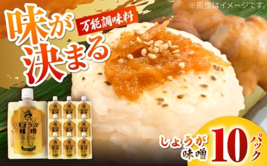 しょうが味噌　約100g×10パック【Japan Ginger 株式会社】 しょうが 国産 高知 調味料 味噌汁 みそ汁 小分け パウチ [ATFD003]