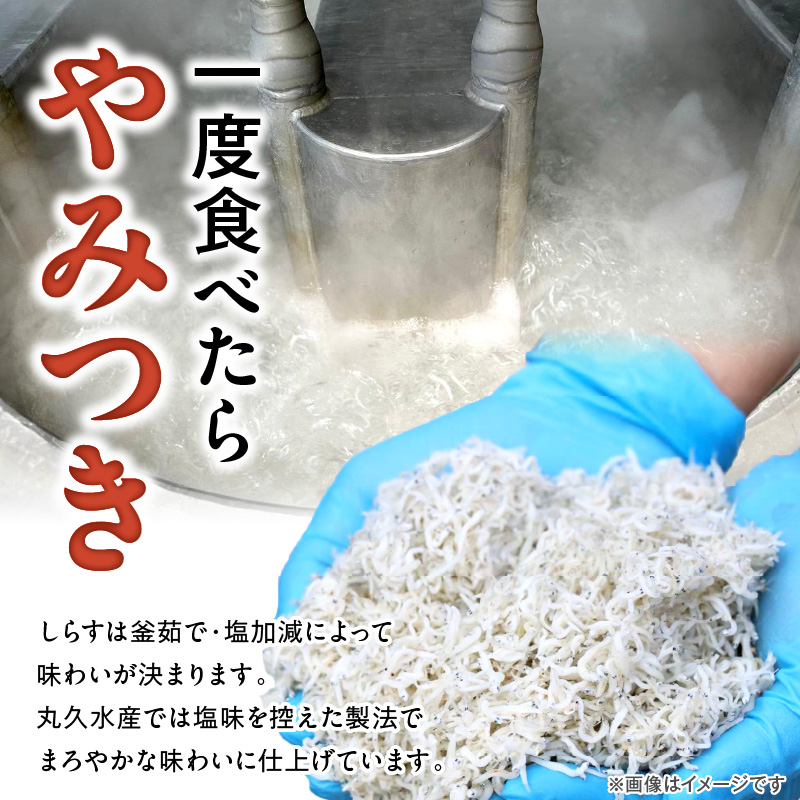 訳あり こモリ1kg！バラエティ豊富な三河しらす～海の仲間たち～　H018-046