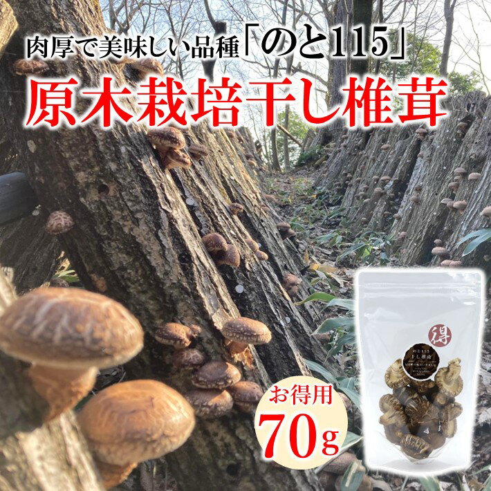 【ふるさと納税】 干し しいたけ 70g 原木 栽培 高級 ブランド 椎茸 肉厚 大型 のと115 乾物 乾燥 だし 出汁 旨味 旨み 煮物 炒め物 お鍋 味噌汁 みそ汁 お味噌汁 おみそ汁 美味しい 北陸 石川 能登 干ししいたけ シイタケ 乾燥 石川県 羽咋 能登 災害復興 復興支援