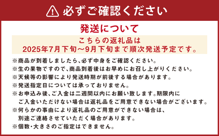 神内マンゴー 特品 350g以上 2玉入り 【2025年7月下旬～2025年9月下旬発送】 果物 フルーツ マンゴー アーウィン 中サイズ 2玉 木箱 贈答 北海道 浦臼町