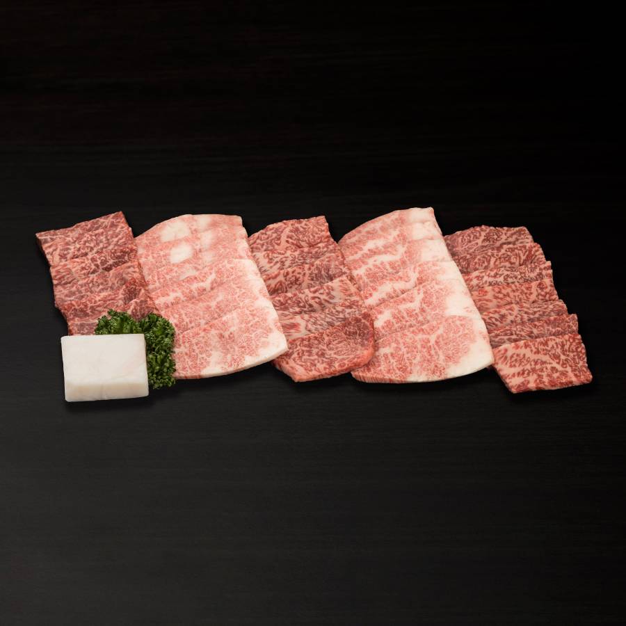 A5等級飛騨牛焼肉(もも・バラ)500g
