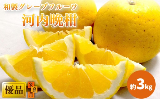 【2026年4月上旬頃から発送】 河内晩柑 優品 家庭用 約３kg｜ 和製グレープフルーツ 木成り熟成 爽やか みかん ミカン 蜜柑 甘い  酸味 数量限定 期間限定  愛媛県産   甘み 香り  柑橘 松山市  新鮮