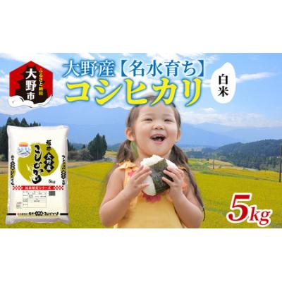 ふるさと納税 大野市 【令和7年産 】大野産コシヒカリ(白米)5kg【大野ブランド米 名水育ち】