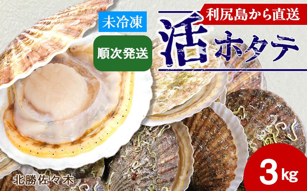 活ホタテ3kg！~2026年順次発送~北海道利尻島から直送！【北勝佐々木】