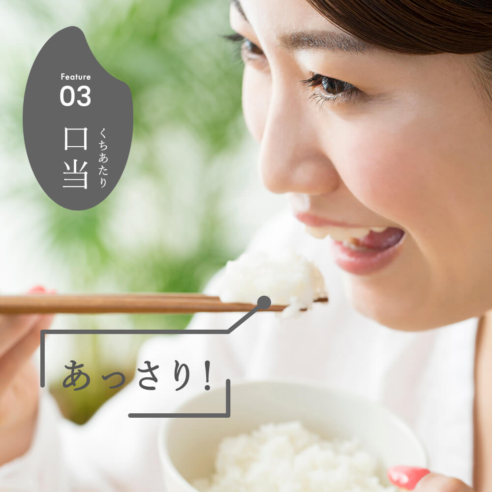 令和7年産 新潟県産 こしいぶき 2kg 精米 新米 お米 白米 コシヒカリ こしひかり おすすめ 人気 こめ コメ 新潟 見附 見附市 7年 2025年産 ふるさと納税 諸長