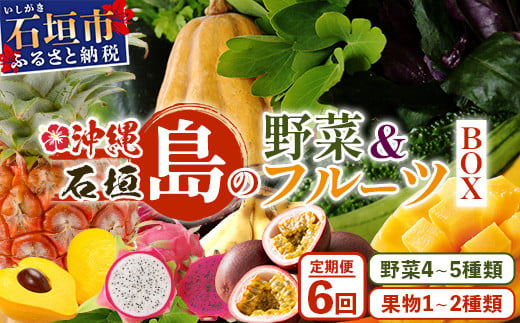 【6回定期便】沖縄県 石垣島の野菜・フルーツBOX ≪野菜4～5種類、フルーツ1~2種類≫（1箱×6回）じょーとーまーさん(とても美味しい) 石垣島の野菜とフルーツの詰め合わせセットをお楽しみください！！｜沖縄 石垣島 直送 旬 果物 フルーツ 新鮮 島野菜 野菜セット 詰め合わせ 定期便 CK-6