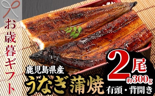 【令和7年お歳暮対応】厳選！国産 うなぎ 蒲焼 2尾 約300g（鹿児島県産）国産 うなぎ 鰻 ウナギ 地焼き【南竹鰻加工】【SA-313H】