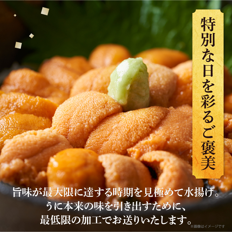 ≪氷温熟成≫生折うに(天然バフンウニ)　100g×2枚_H0009-102