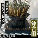 【ふるさと納税】1点モノ 鉢台 H《豊前市》【CIRCLE TIGER 9999】インテリア 植物 グリーン 室内 観葉植物[VCS008] 46000 46000円