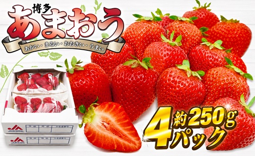 【2027年2月より順次発送】博多あまおう4パック 約1kg[H2243]