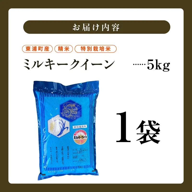 【令和8年度産】東浦町産　ミルキークイーン 5kg│米  新米 おこめ 精米 直送 鈴木農産 愛知県