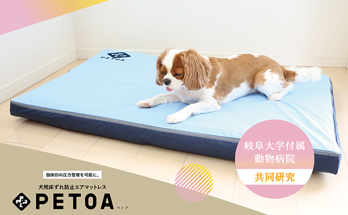 【ペット用品 犬】犬用床ずれ防止エアマット PETOA-ペトア- (小型犬用) ブルー 寝たきりのワンちゃん向け | 動物 家族 高齢化 医療介護 本格的 低反発 安心 安全 ※離島への配送不可