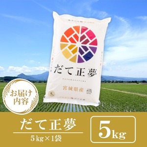 ＜先行予約！2025年10月末までに発送予定＞【令和7年産 新米】宮城県産 だて正夢 5kg お米 おこめ 米 コメ 白米 ご飯 ごはん 伊達 だてまさゆめ おにぎり お弁当 ブランド米 5kg【株式