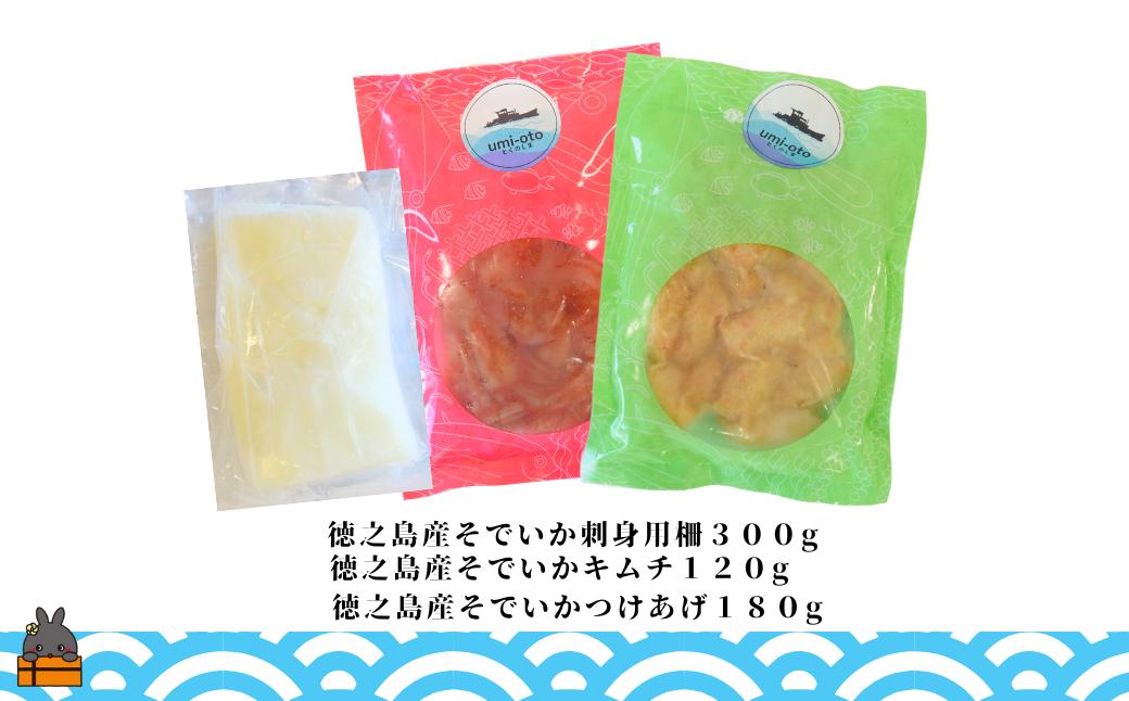 徳之島の漁師が荒波で釣り上げたそでいか 3種盛り お刺身・いかキムチ・つけあげ （ ３つの美味しさ ソデイカ いか イカ 大型のいか 回遊 お刺身 甘い ねっとり 冷凍 新鮮 お寿司 料理 徳之島 奄