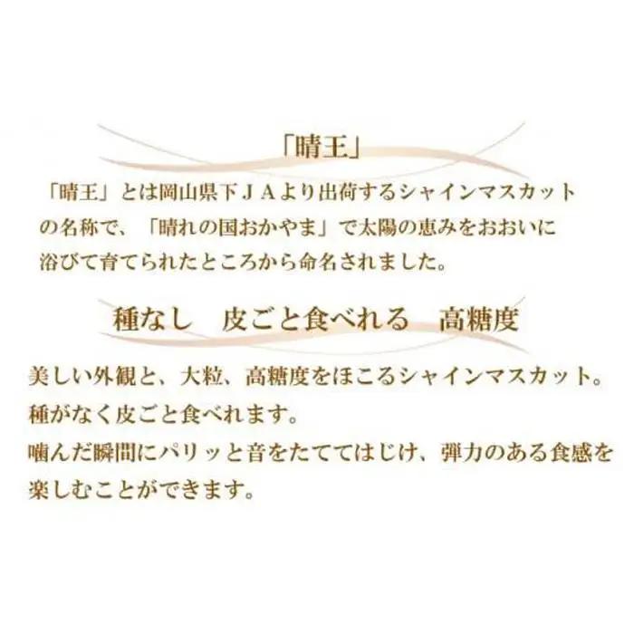 ぶどう 2026年 シャインマスカット 晴王 約600g×2房 葡萄  岡山県産 国産 フルーツ 果物 ギフト | シャインマスカット