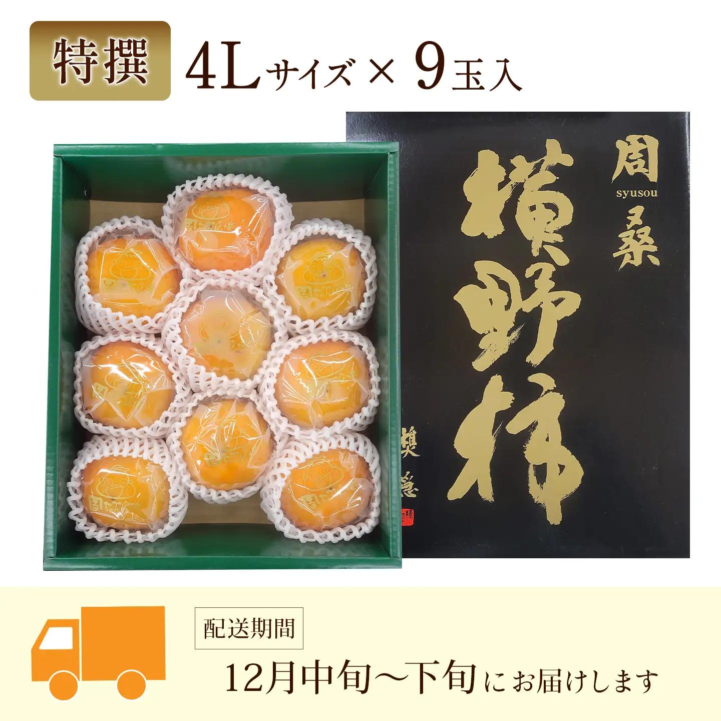 【12月発送】愛媛県西条産「横野柿」渋抜き柿 特撰4Lサイズ×9玉