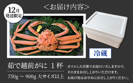 【12月発送限定】茹で越前がに 1杯 750g～900g（大サイズ以上）《新鮮！茹でたてを発送》／ 高級 福井 ブランド ズワイガニ 黄色タグ ボイル 冷蔵 蟹 カニ 期間限定【年内発送 12月23日