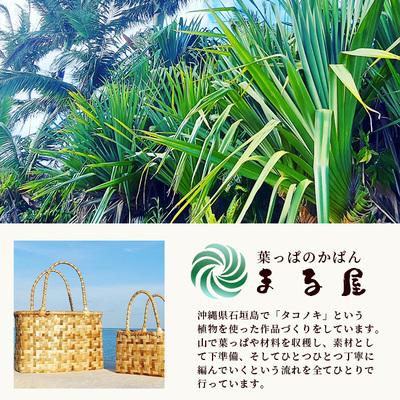 ふるさと納税 石垣市 アダン マース袋2個セット (5月下旬より順次発送) |  | 03