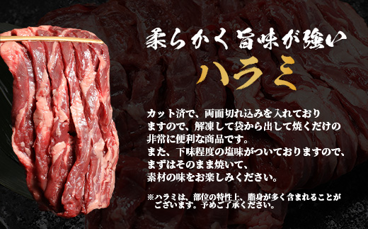 【年末発送】人気セット！ 厚切り 牛 ハラミ ステーキ＆ 厚切り 牛タン 【合計 1㎏ 】 焼肉 バーベキュー  牛たん ハラミ 焼き肉 カット済み 塩味 牛肉 肉 冷凍 パック 年内発送 年内配送 