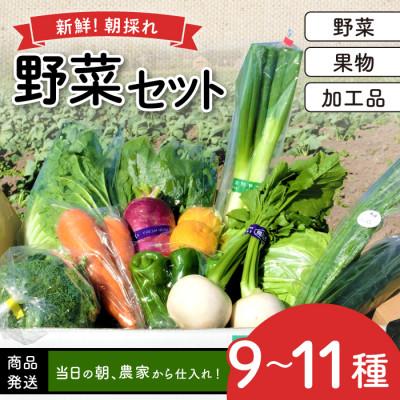 ふるさと納税 日吉津村 新鮮朝採れ野菜セット