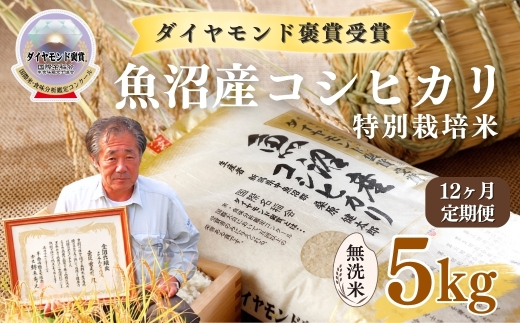 【令和8年産先行予約】【12ヶ月定期便】魚沼産コシヒカリ 無洗米 5kg(5kg×1袋) 特別栽培米 ダイヤモンド褒賞受賞 | 新潟産コシヒカリ 新潟県産コシヒカリ 魚沼産こしひかり 米 お米 こしひかり 白米 無洗米 ブランド米 最高級 新潟県 津南町