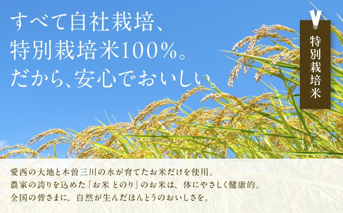 お米 精米 白米 ご飯 ごはん 特別栽培米 愛知県産 米 5kg 5キロ 愛西市
