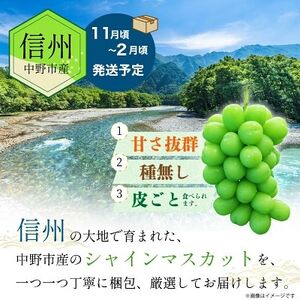 【冷蔵】　長野県　中野市産　シャインマスカット4房(2.0kg以上)【配送不可地域：離島】【1331158】