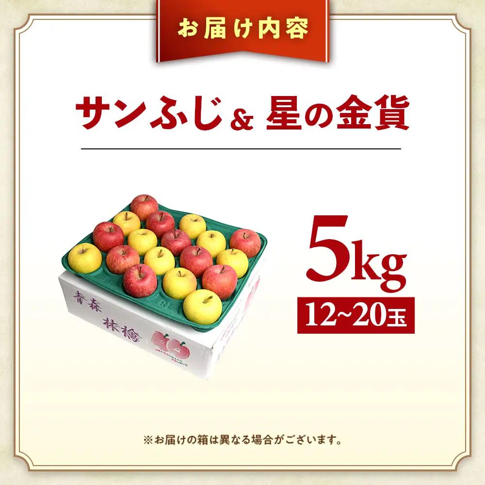 青森県産りんご サンふじ＆星の金貨 セット 約5kg 11月中旬～