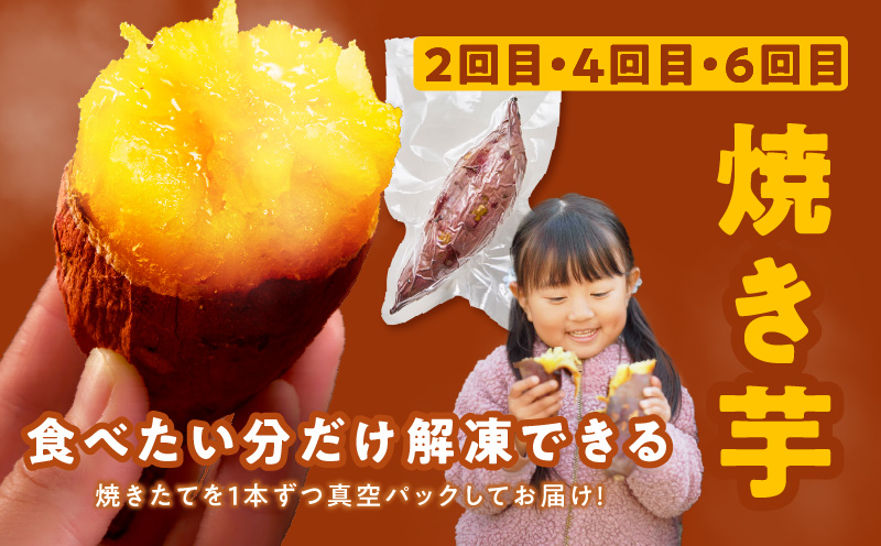 【定期便】干し芋 600g/焼き芋1kg 全6回 交互便【ほしいも 芋 いも 無添加 紅はるか 干しいも おやつ サツマイモ さつまいも】